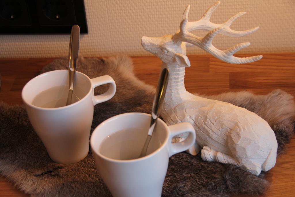Hotel Aakenus Rovaniemi Luaran gambar